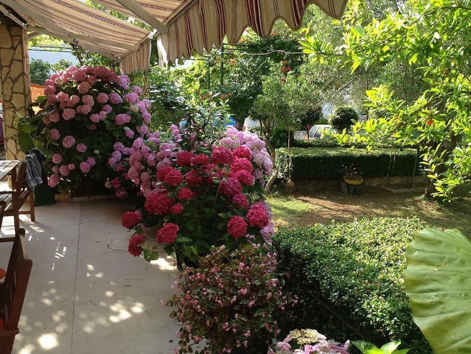 Apartmani Dora มูร์แตร์ ภายนอก รูปภาพ